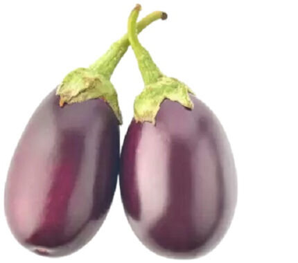 Brinjal (ବାଇଗଣ)