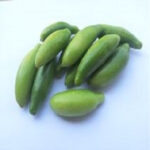 Dondakaya (ଦଣ୍ଡକାଇଲୁ)